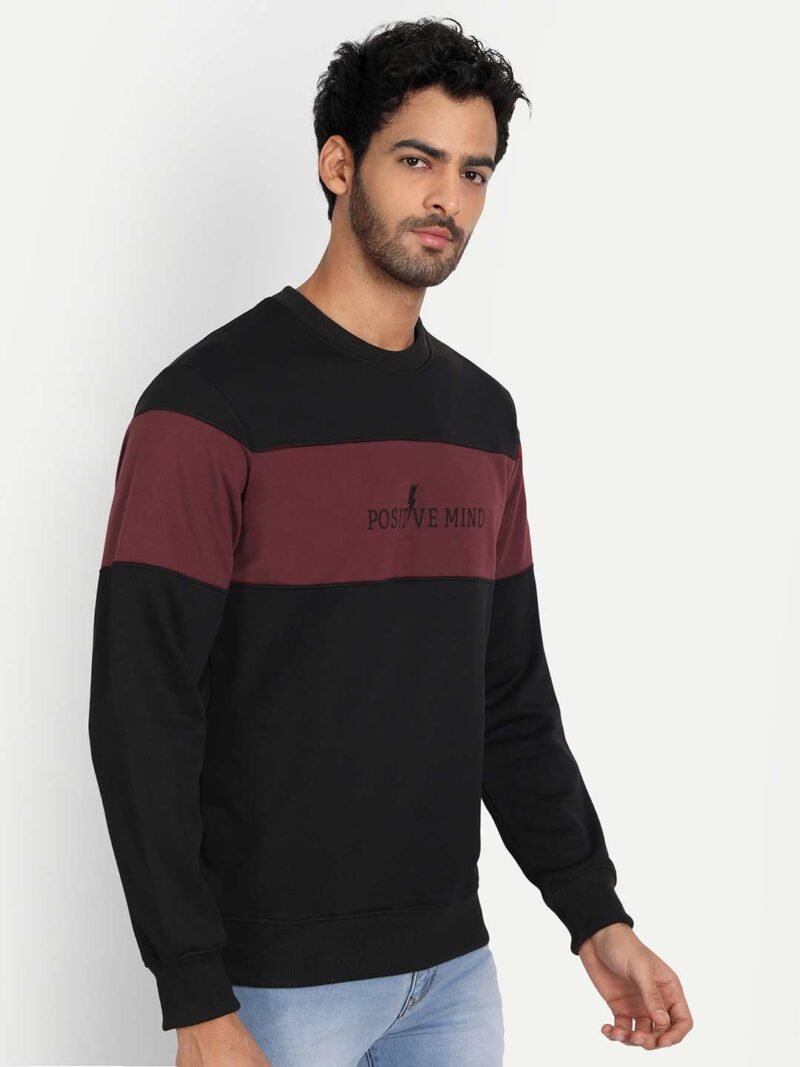Colorblock Sweatshirt - Image 6
