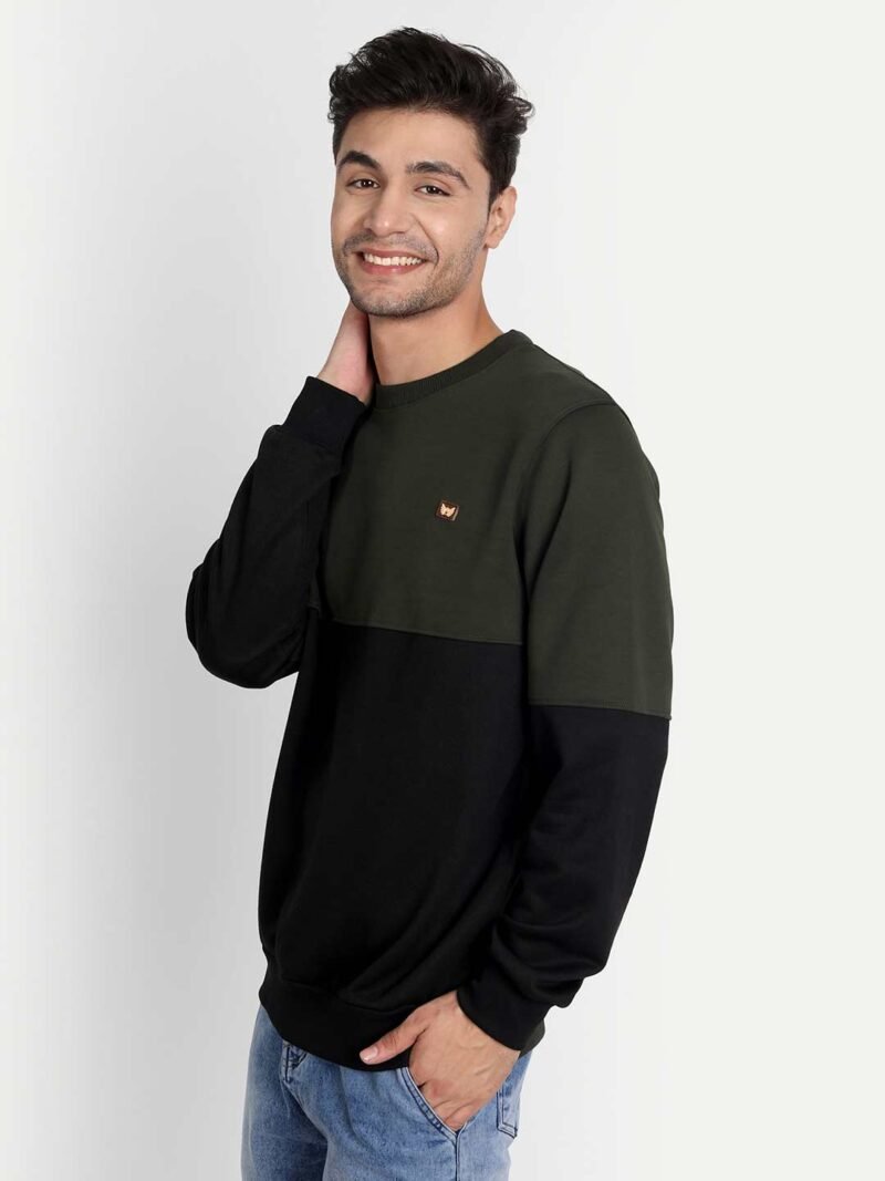 Colorblock Sweatshirt - Image 6