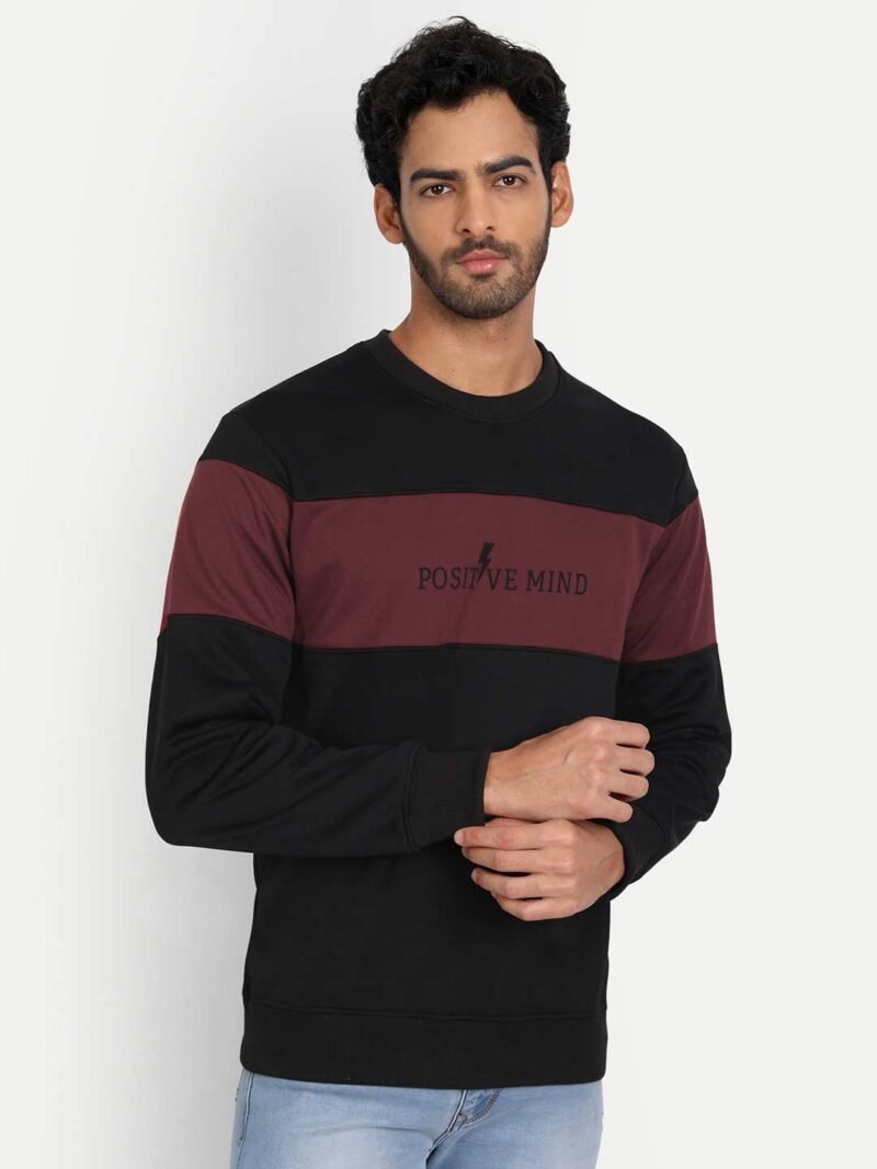 Colorblock Sweatshirt - Image 5