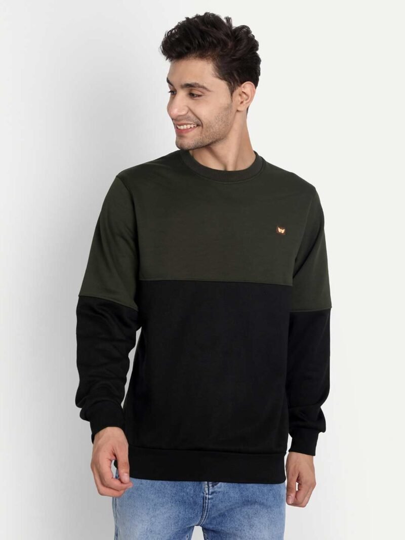 Colorblock Sweatshirt - Image 5