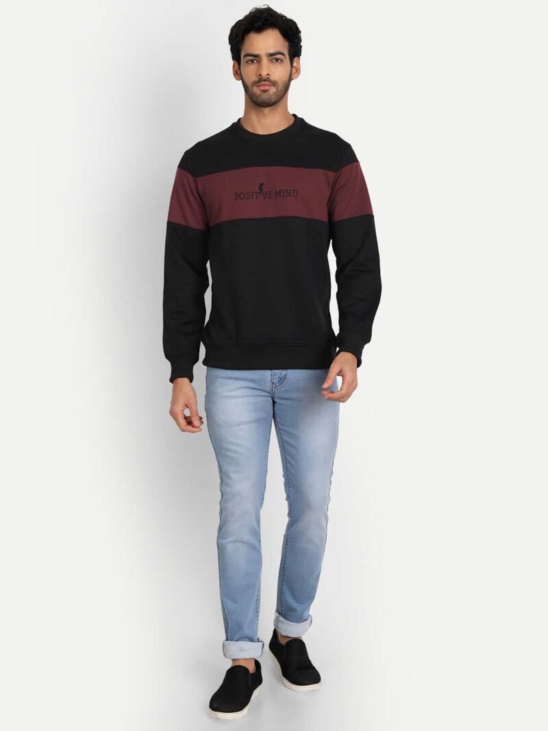 Colorblock Sweatshirt - Image 4