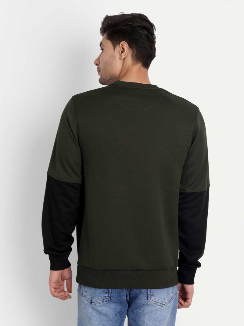 Colorblock Sweatshirt - Image 4