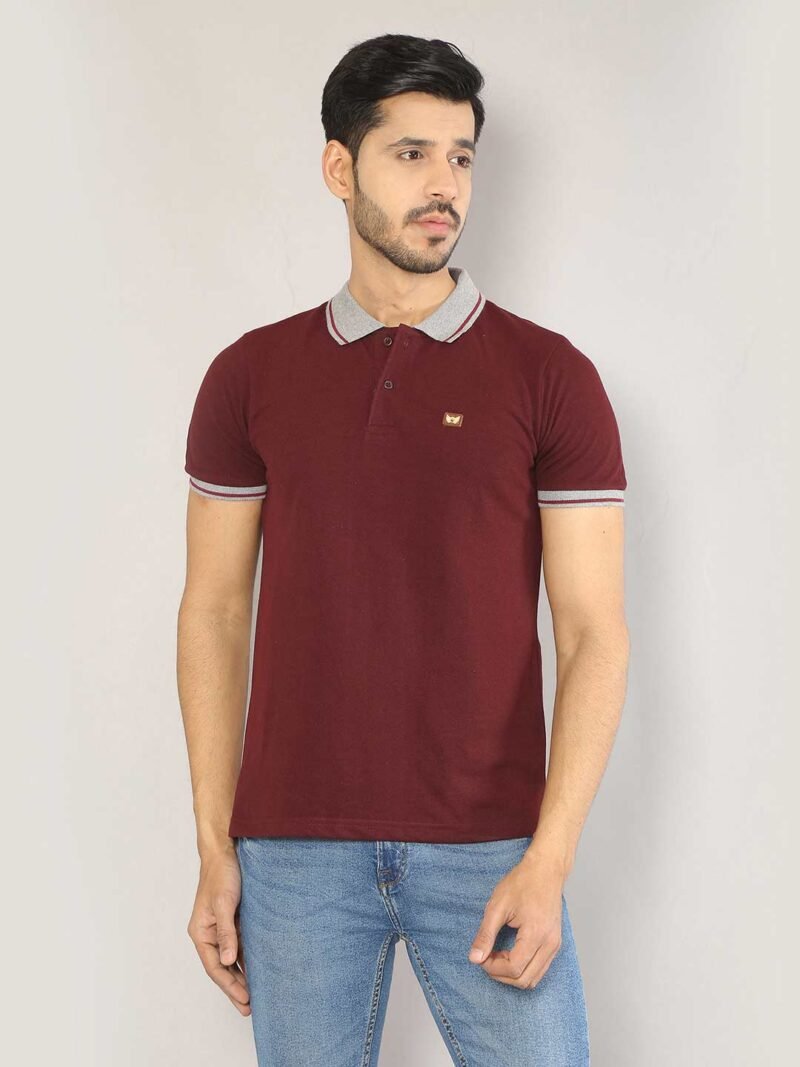SIAPA Men Maroon Polo Collar T-shirt - Image 4