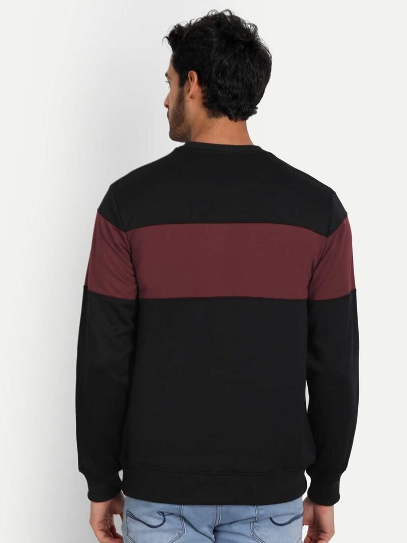 Colorblock Sweatshirt - Image 3