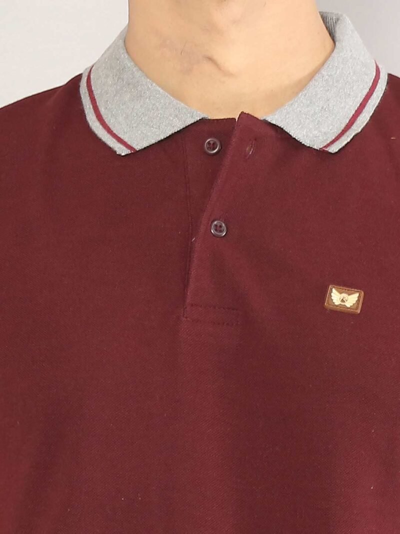SIAPA Men Maroon Polo Collar T-shirt - Image 3